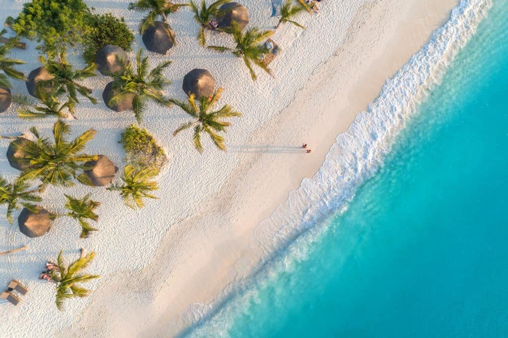 Aerial view of palms on the sandy beach of Indian Ocean at sunset